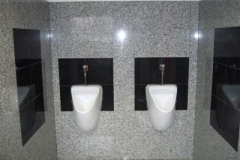 toilet5[1]